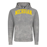 Michigan - Throwback Design - Classic , Best Gift, Costume, Halloween, Vintage Hoodie | Teevron