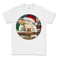White Charolais Cow Christmas Classic Tee - RanaPortraitStore