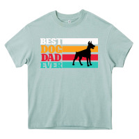 Arona Best Dog Dad Ever Heavy Core Tee - Bettercallsaul