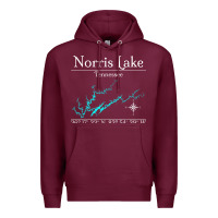 Norris Lake, Tennessee Characters Video Game Premium Hoodie | Teevron