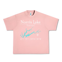 Salmon Norris Lake, Tennessee Characters Video game Urban Heavy Tee - maiPhamDesign