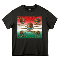 Asphalt Mexican Flag Heavy Core Tee - RanaPortraitStore