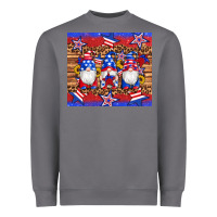 American Flag Gnomes Star Leopard Glitter Tumbler Heavyweight Sweatshirt | Teevron