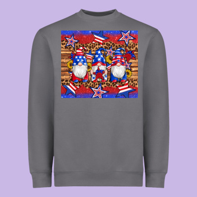 American Flag Gnomes Star Leopard Glitter Tumbler Heavyweight Sweatshirt Designed By Artiststas