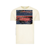 Vintage Arctic American flag stitches Vintage Tee - CowGirlArtShop