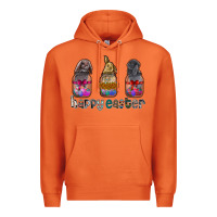 Carrot Happy Easter Premium Hoodie - CowhideDigitalArt