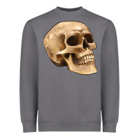 Storm skull Heavyweight Sweatshirt - Artiststas