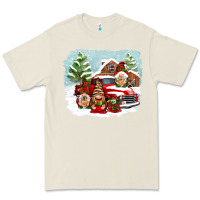 Bone Christmas gnomes with red truck Premium Tee - NancyCooperArtShop