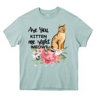 Arona Are you kitten me right meow Heavy Core Tee - Bettercallsaul