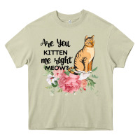 Mossy Are you kitten me right meow Heavy Core Tee - Bettercallsaul