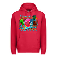 Cardinal name flying into 100 days of school Premium Hoodie - CowhideDigitalArt