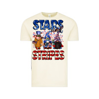 Vintage Arctic Stars and stripes gnomes 4th of july Vintage Tee - CowGirlArtShop