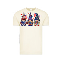 Vintage Arctic 4th Of July gnomies with stars Vintage Tee - HowdyJamesFarm