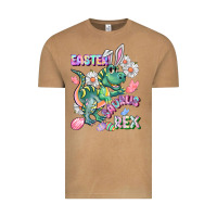 Easter Saurus Rex Easter Day Vintage Tee | Teevron