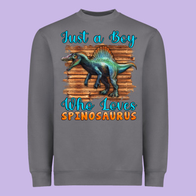 Just A Boy Who Loves Baby Spinosaurus Heavyweight Sweatshirt Designed By Artiststas