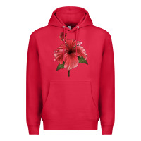 Cardinal Puerto Rican Hibiscus Flower Illustrations Premium Hoodie - LillyAllenDesigns