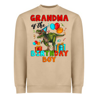 Grandma Of The Birthday Boy T Rex Heavyweight Sweatshirt | Teevron