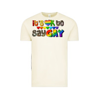 Vintage Arctic It's okay to say Gay pride Vintage Tee - CowGirlArtShop