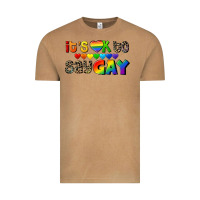 Vintage Camel It's okay to say Gay pride Vintage Tee - CowGirlArtShop