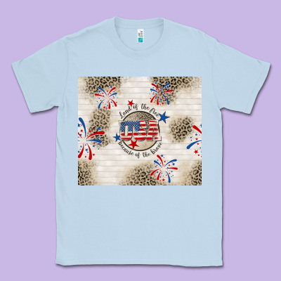 Usa Land Of The Free Because Of The Brave Classic Tee Designed By Tumblerdesignbyshophia