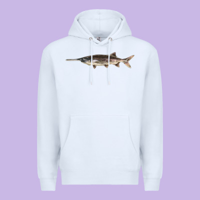 Paddlefish Illustrations, Premium Hoodie Designed By Lillyallendesigns