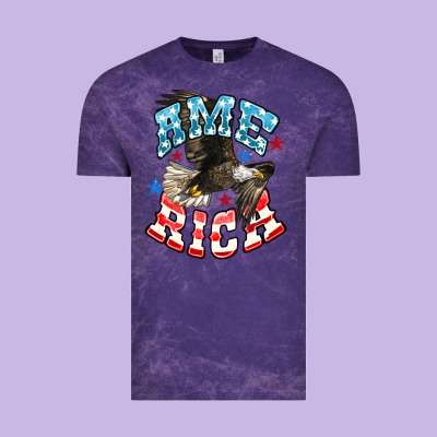 American Eagle Vintage Tee Designed By Howdyjamesfarm
