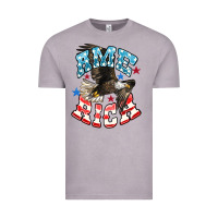 Vintage Zinc American Eagle Vintage Tee - HowdyJamesFarm