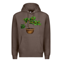 Coffee Guava Tree Bonsai Illustrations Premium Hoodie - LillyAllenDesigns