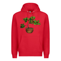 Red Guava Tree Bonsai Illustrations Premium Hoodie - LillyAllenDesigns