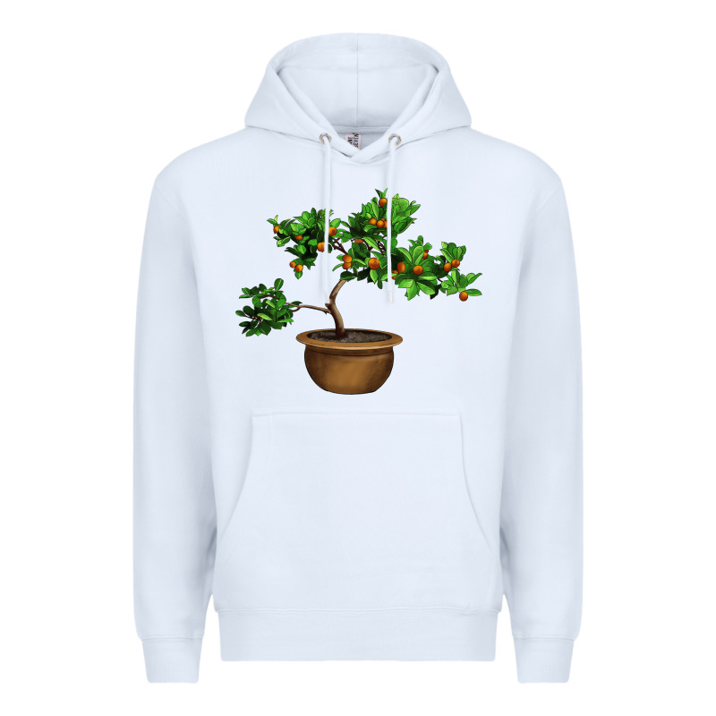 Guava Tree Bonsai Illustrations Premium Hoodie by LillyAllenDesigns | Teevron