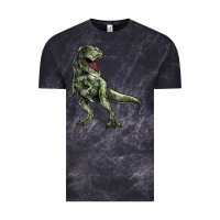 Cloud Black T-rex Vintage Tee - HowdyJamesFarm
