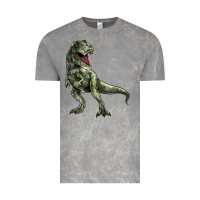 Cloud Rock T-rex Vintage Tee - HowdyJamesFarm