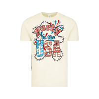 Vintage Arctic Party in the USA 4th of july Vintage Tee - HowdyJamesFarm