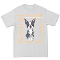 Dove Grey boston terrier t  shirt boston terrier dog traits gift t  shirt Premium Tee - longCreatives