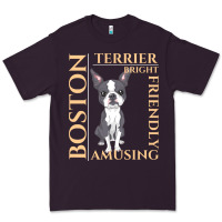 Boston Terrier T  Shirt Boston Terrier Dog Traits Gift T  Shirt Premium Tee | Teevron