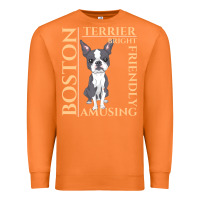 Carrot boston terrier t  shirt boston terrier dog traits gift t  shirt Premium Sweatshirt - longCreatives