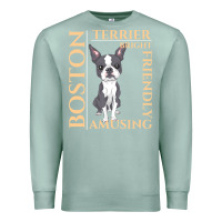 Seafoam boston terrier t  shirt boston terrier dog traits gift t  shirt Premium Sweatshirt - longCreatives