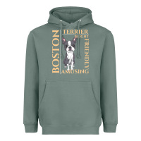 Sage boston terrier t  shirt boston terrier dog traits gift t  shirt Heavyweight Hoodie - longCreatives