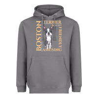 Storm boston terrier t  shirt boston terrier dog traits gift t  shirt Heavyweight Hoodie - longCreatives