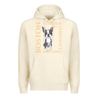 Sandshell boston terrier t  shirt boston terrier dog traits gift t  shirt Premium Hoodie - longCreatives