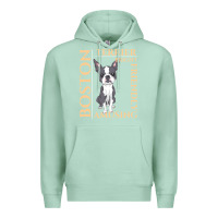 Seafoam boston terrier t  shirt boston terrier dog traits gift t  shirt Premium Hoodie - longCreatives