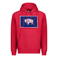 Cardinal State of Wyoming Flag Fun Vintage Retro Fall Hiking Premium Hoodie - longCreatives