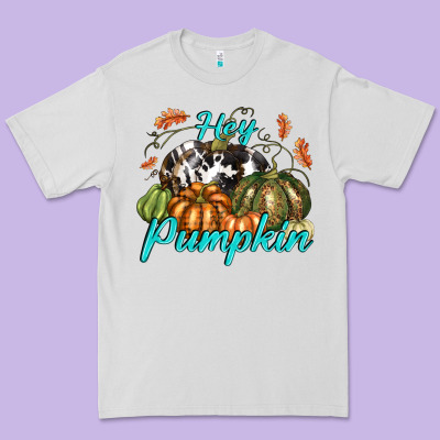 Hey Pumpkin Premium Tee Designed By Texasbilliewilder