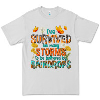 Dove Grey I've Survived Too Many Storms Premium Tee - texasbilliewilder