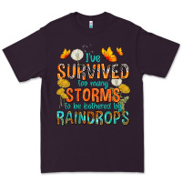 Plum I've Survived Too Many Storms Premium Tee - texasbilliewilder