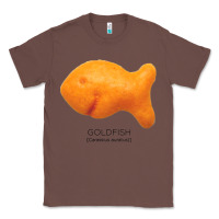 Chestnut Scientific Goldfish Classic Tee - longCreatives
