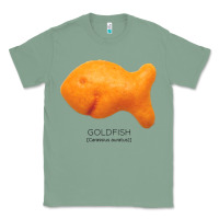 Sage Scientific Goldfish Classic Tee - longCreatives