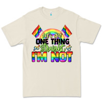 Bone Let's get one thing straight i'm not Pride LGBTQ+ Premium Tee - NancyCooperArtShop