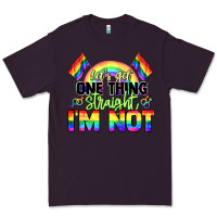 Plum Let's get one thing straight i'm not Pride LGBTQ+ Premium Tee - NancyCooperArtShop