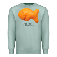 Seafoam Scientific Goldfish Premium Sweatshirt - longCreatives